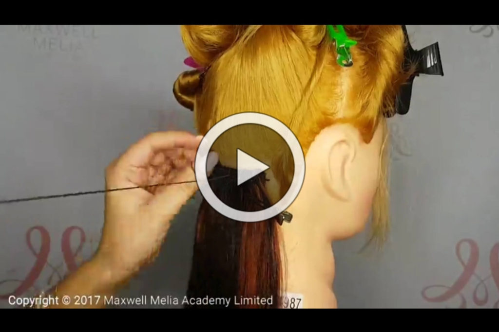 Online Hair Extension Training 2