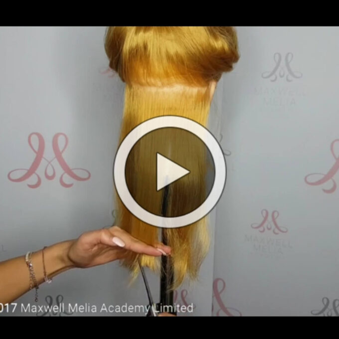 Online Hair Extension Training 3