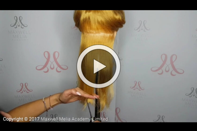 Online Hair Extension Training 3