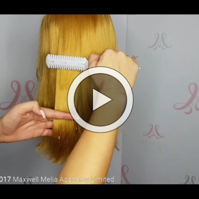 Online Hair Extension Training 4