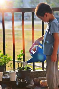 Boy watering garden